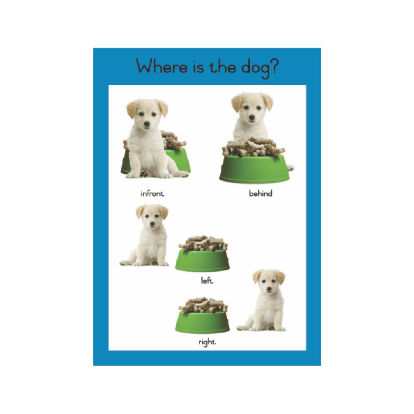 Where is the Dog-Wallchart
