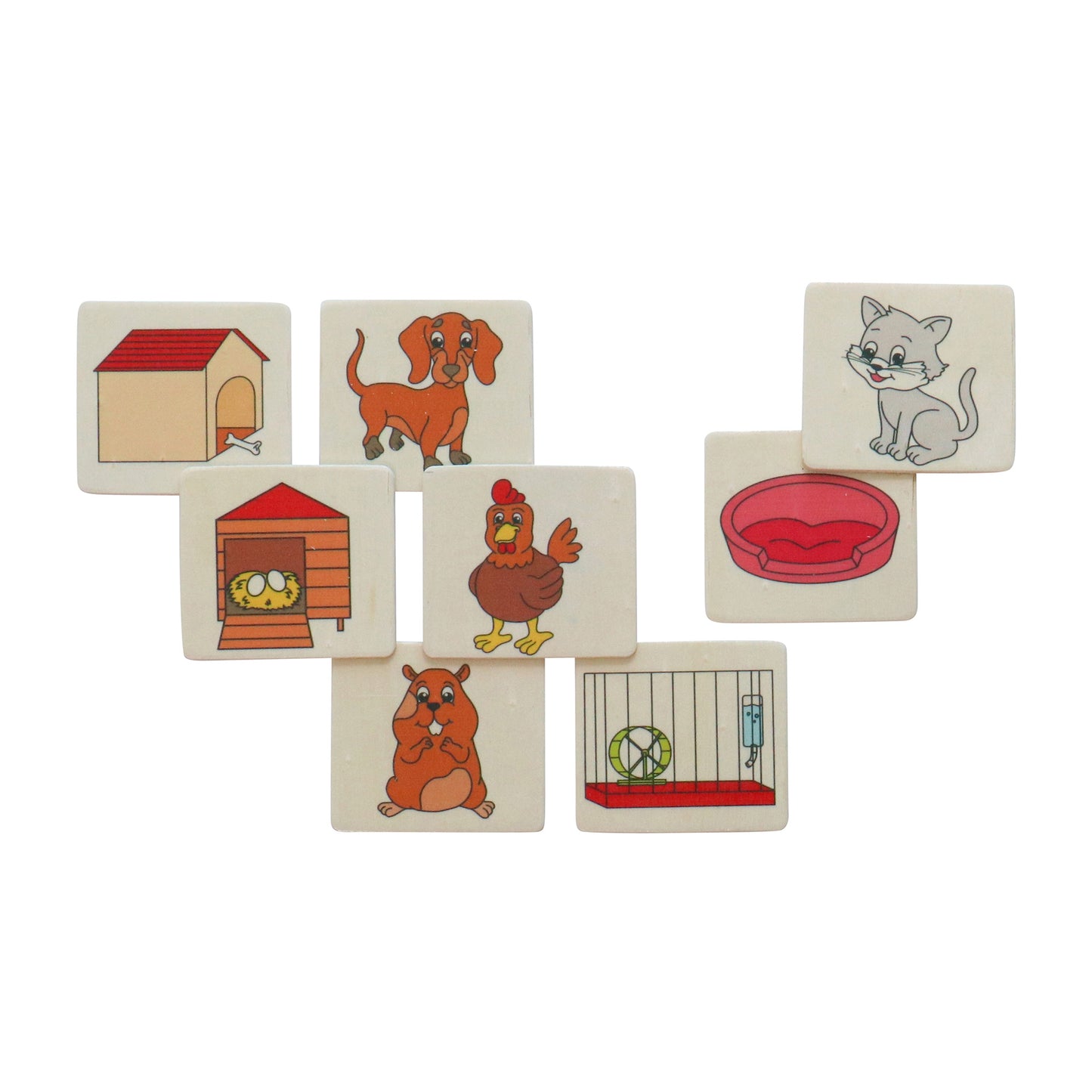 Animals & Their Homes