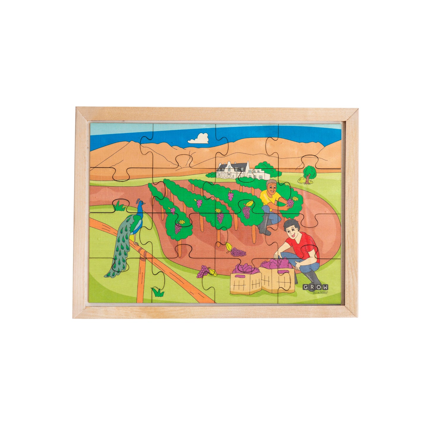 Stellenbosch Farm 16pc