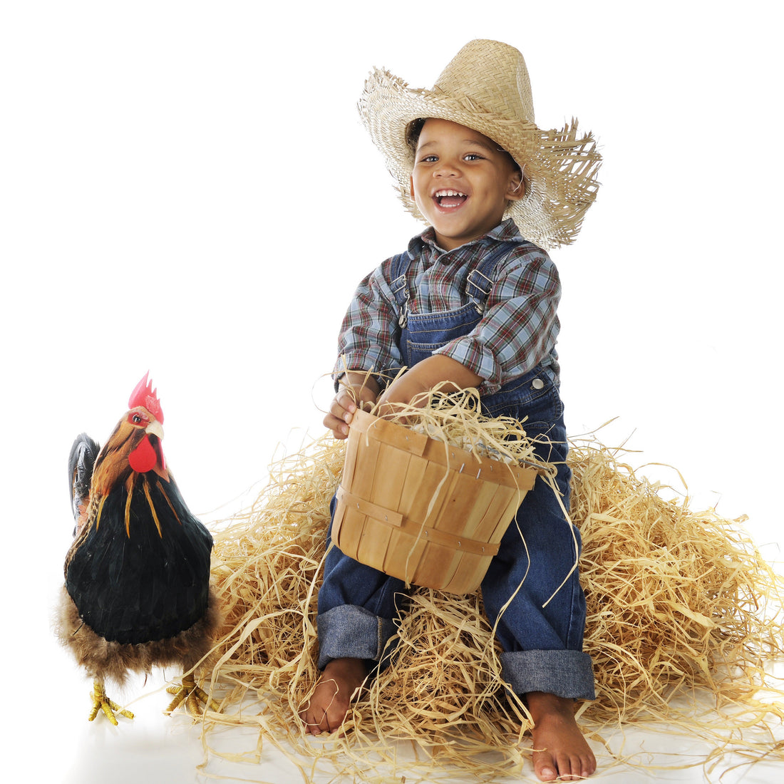 Our 10 Favourite Animal Petting Farms