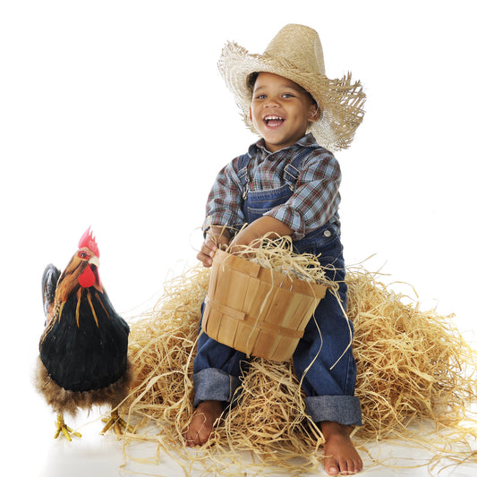 Our 10 Favourite Animal Petting Farms