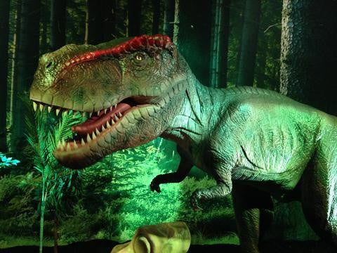 A journey to dino's, reptiles and fossils