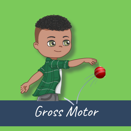 Gross Motor