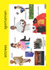 Occupations