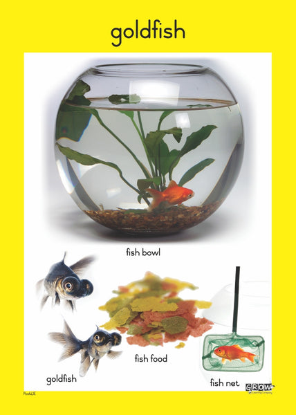 Pets - Foundation Phase Theme