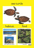 Reptiles