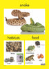 Reptiles