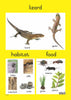 Reptiles