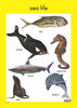 Sea Life