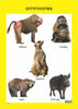 Wild Animals