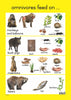 Wild Animals