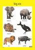 Wild Animals - Foundation Phase Theme