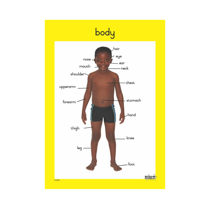 My Body – Grow Learning Company