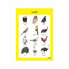 Birds - Single Theme Chart