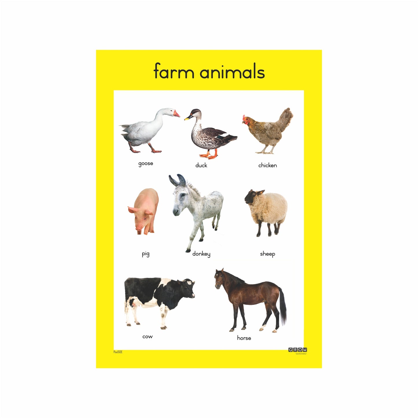 Farm Animals