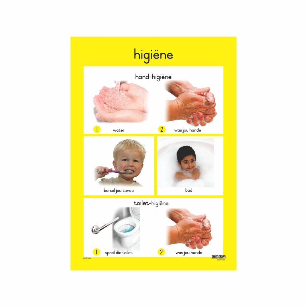 Hygiene Single Theme Chart Grow Learning Company