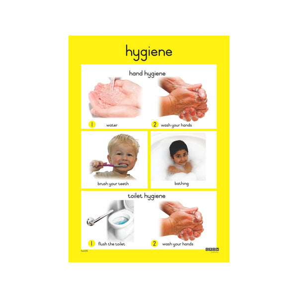 Hygiene - Single Theme Chart