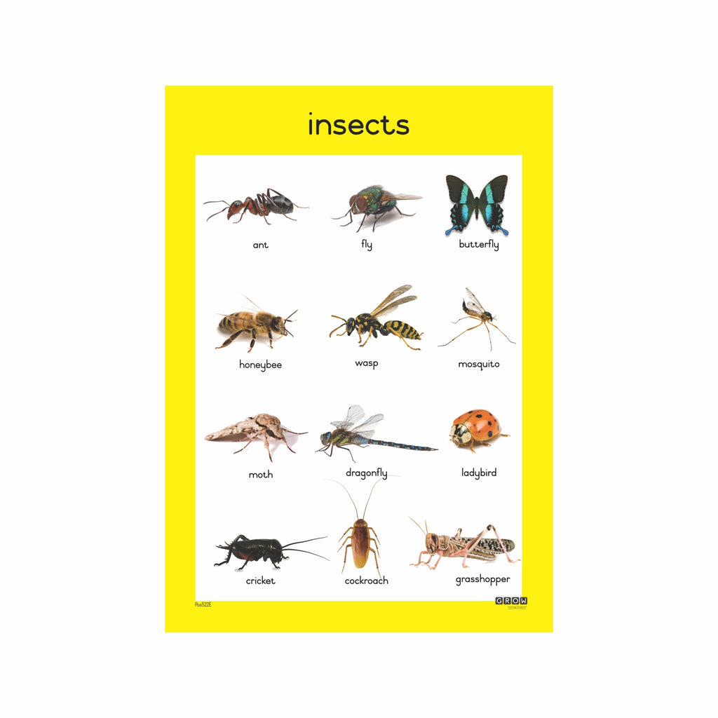Insects Grow Learning Company