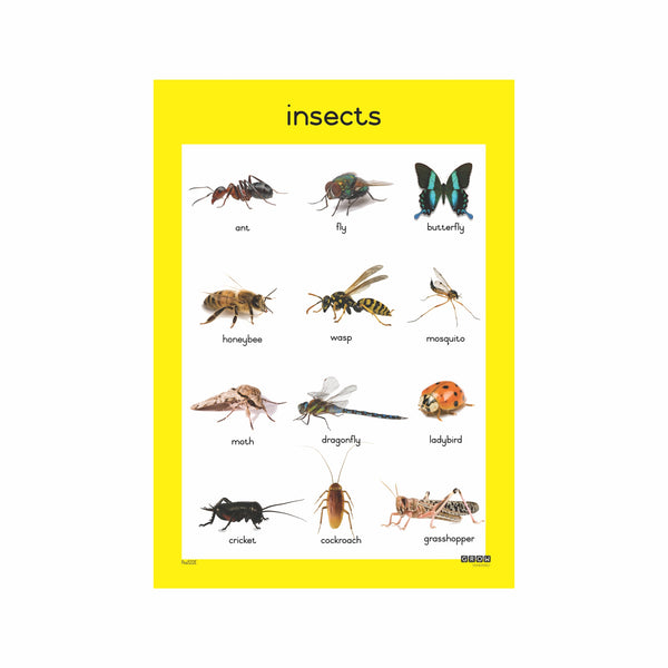 Insects - Single Theme Chart