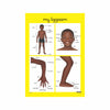 My Body