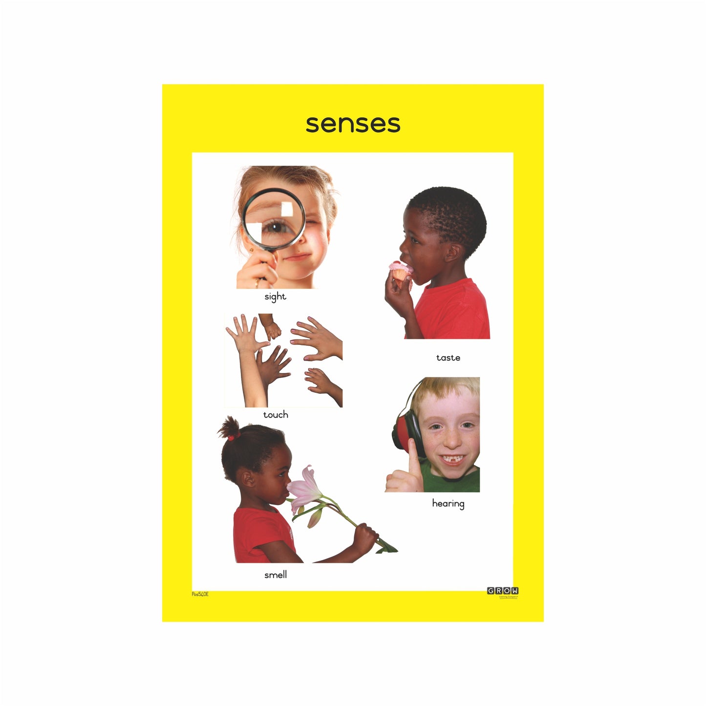 Senses