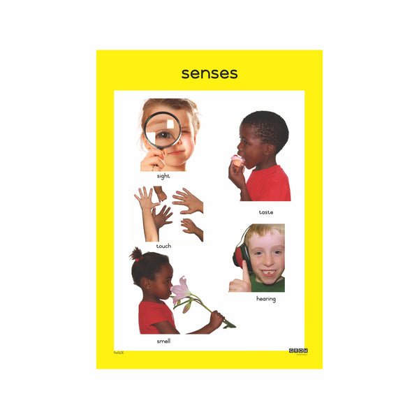 Senses - Single Theme Chart