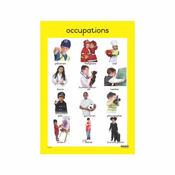Occupations - Single Theme Chart