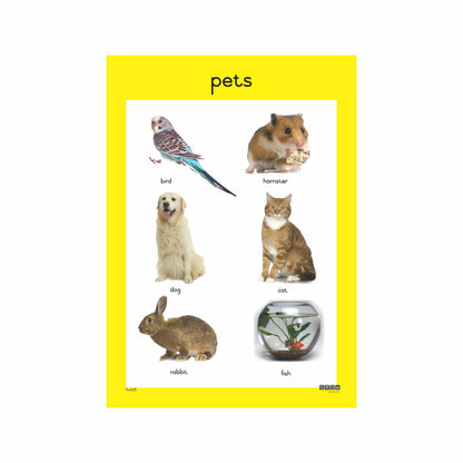 Pets