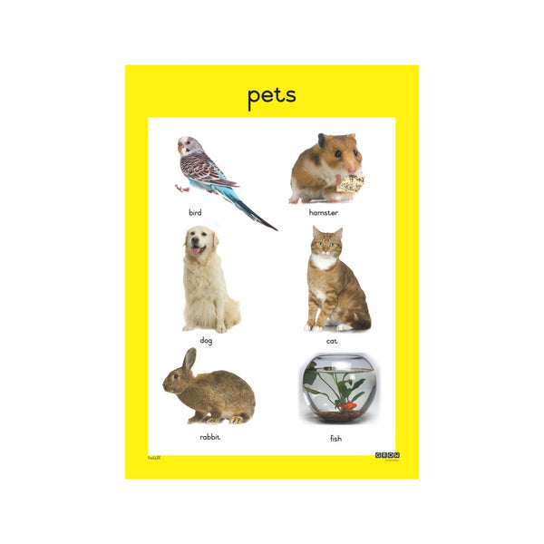 Pets - Single Theme Chart