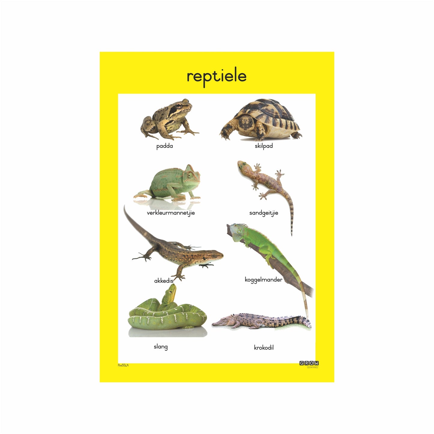 Reptiles