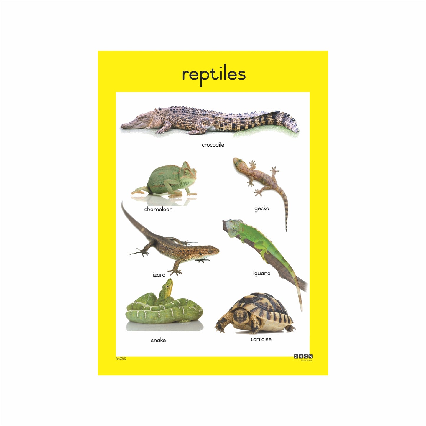 Reptiles