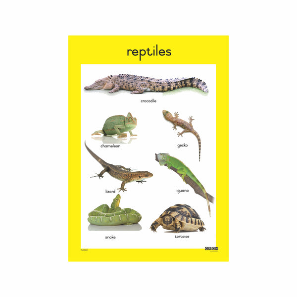 Reptiles - Single Theme Chart