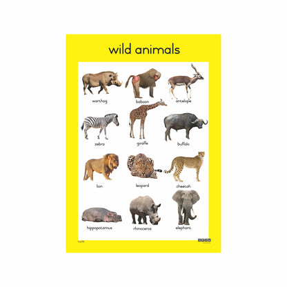 Wild Animals