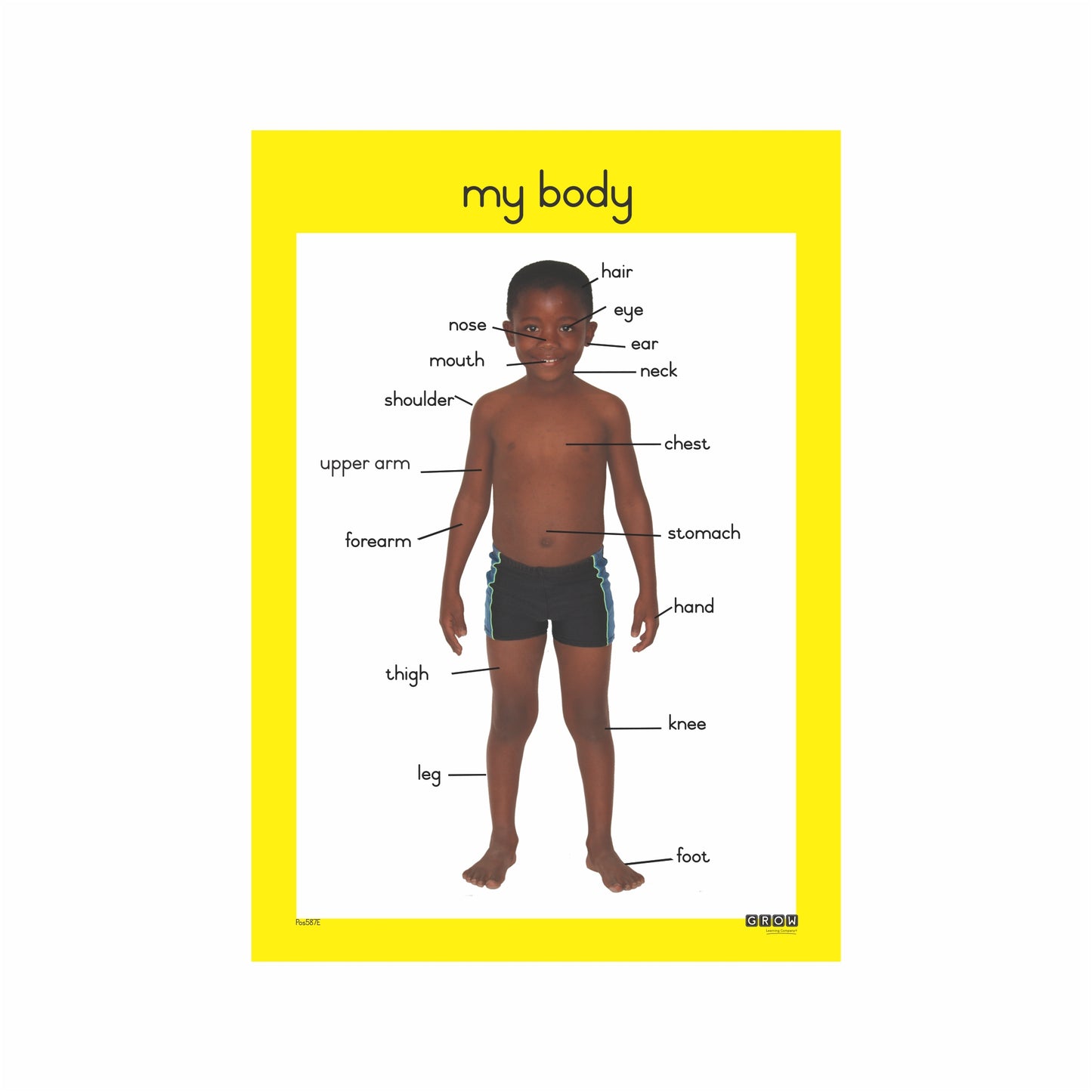 My Body