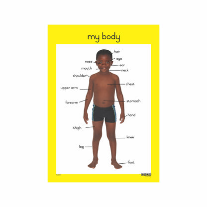 My Body