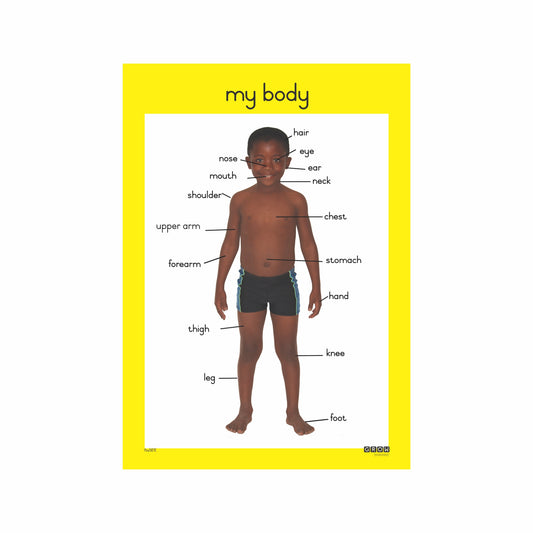 My Body