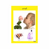Taste & Smell