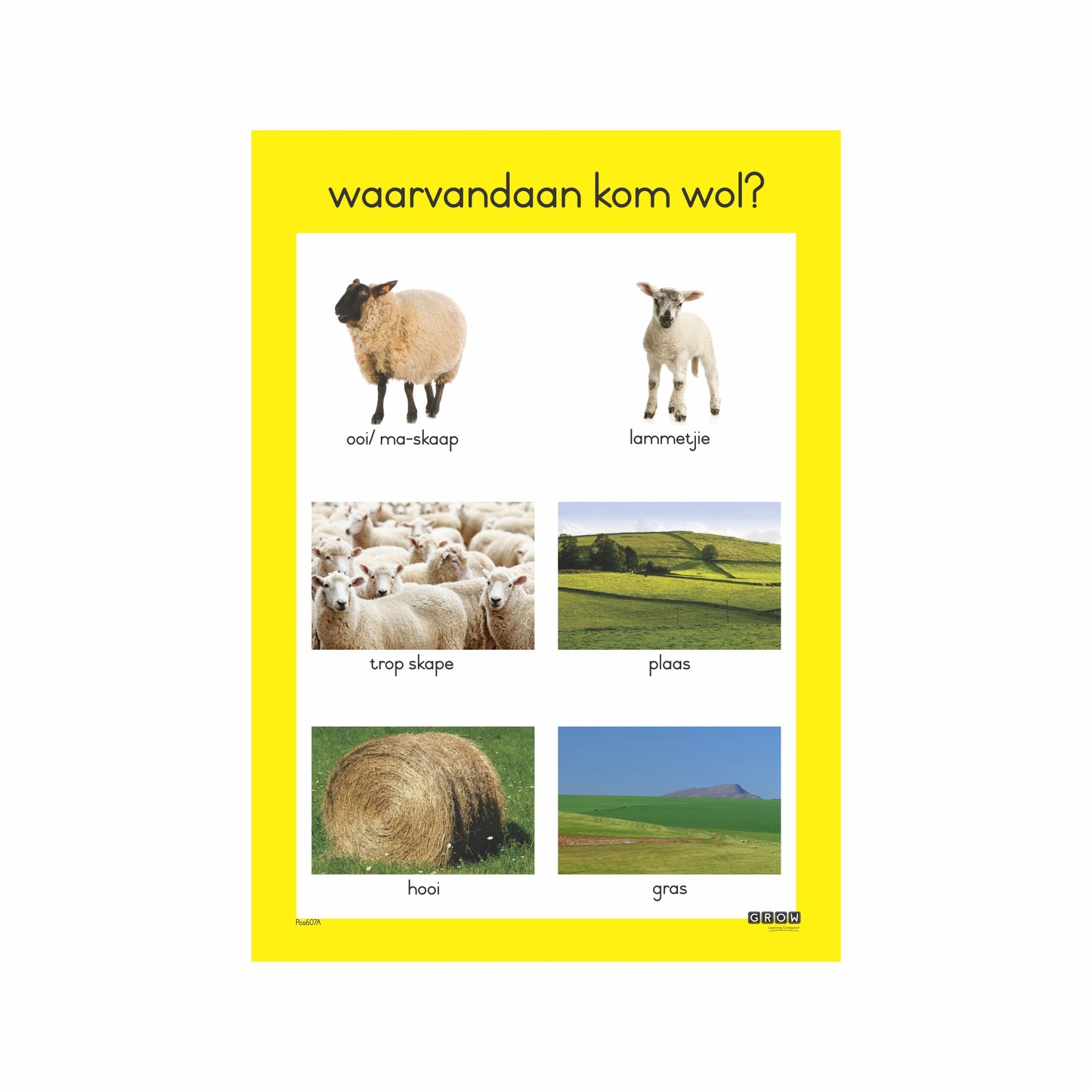 Wool Farming