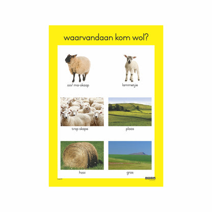 Wool Farming