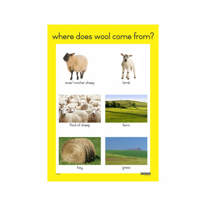 Wool Farming