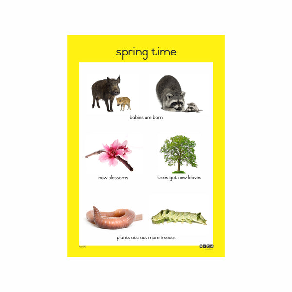 Spring