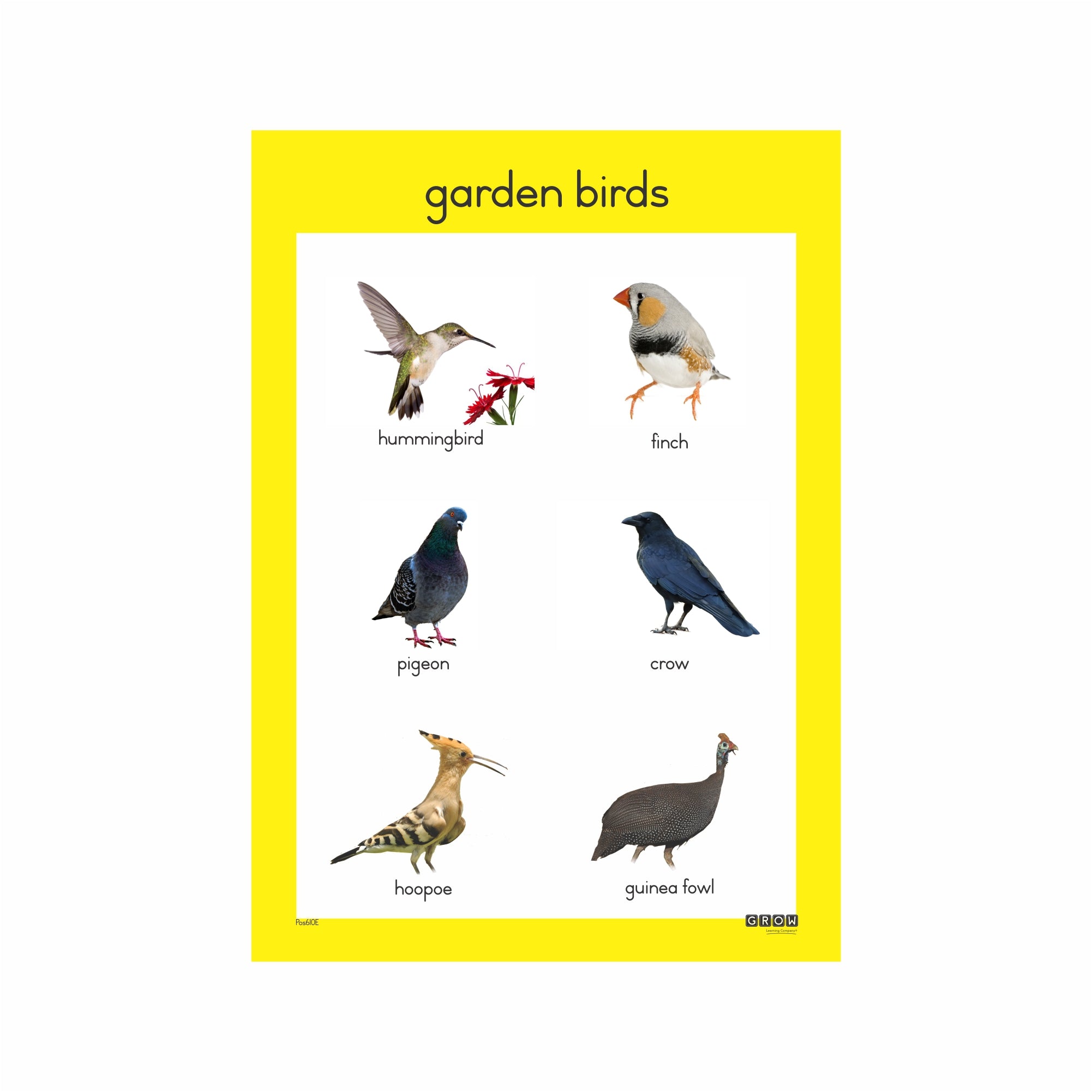Wall charts – Grow Learning Company