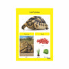 Reptiles