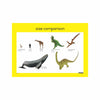 Dinosaurs
