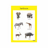 Wild Animals