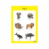 Wild Animals
