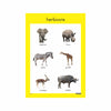 Wild Animals