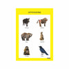 Wild Animals