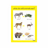 Wild Animals