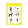 Wild Animals